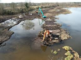 Zone humide restaurée pour préserver la biodiversité et le stockage du carbone.