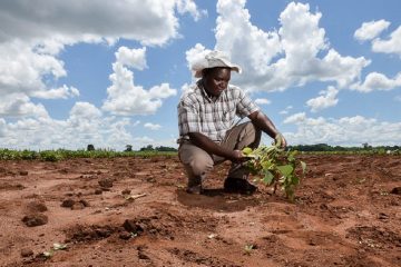 Selon l’OMM, l’Afrique doit faire face à des coûts élevés en raison de la hausse des températures