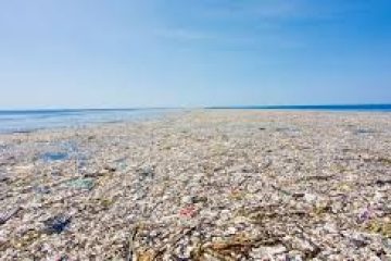 Pollution plastique des océans : quelles solutions pour réduire l’impact ?