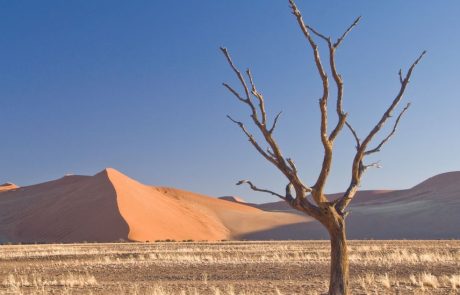 La Colombie, pays hôte de la COP16, demande à l’ONU d’unifier ses engagements en matière de climat et de nature