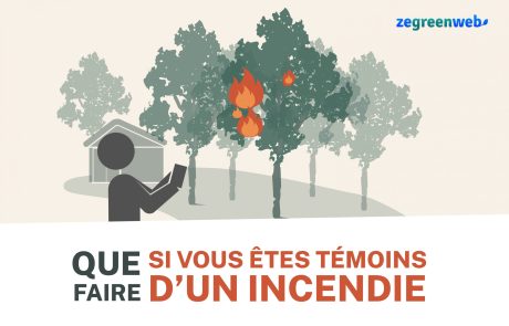 [Infographie] Que faire si vous êtes témoins d’un incendie ?