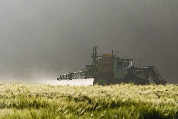 L’impact des pesticides sur l’environnement