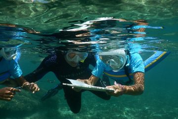 L’importance des aires marines protégées dans la préservation des écosystèmes aquatiques