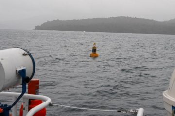 Le Chili utilise des bouées de haute technologie pour protéger les baleines en migration