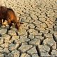 Un groupe soutenu par l’OCDE appelle à un pacte mondial pour résoudre la crise de l’eau