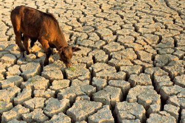 Un groupe soutenu par l’OCDE appelle à un pacte mondial pour résoudre la crise de l’eau