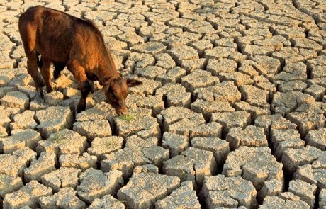 Un groupe soutenu par l’OCDE appelle à un pacte mondial pour résoudre la crise de l’eau