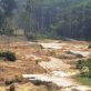 Les négociants céréaliers tentent d’affaiblir l’interdiction d’acheter du soja d’Amazonie