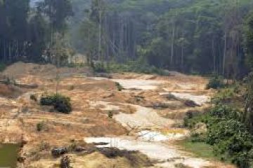 Les négociants céréaliers tentent d’affaiblir l’interdiction d’acheter du soja d’Amazonie