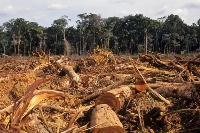 Certains régulateurs financiers du G20 négligeraient les risques liés à la nature