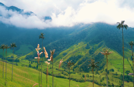 Des champs de coca à l’écotourisme : Les agriculteurs colombiens adoptent le pivot vert