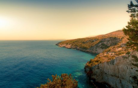 Vers une meilleure protection des espèces menacées vivant sur des îles