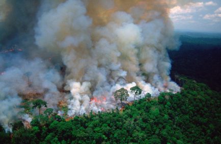 La déforestation nuit moins au climat que d’autres types de dégradation de l’Amazonie