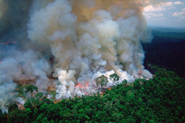 La déforestation nuit moins au climat que d’autres types de dégradation de l’Amazonie