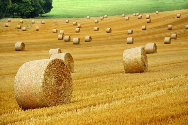 Simplification des normes agricoles : des mesures saluées par la FNSEA et les JA