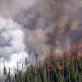 Incendies au Brésil : une guerre sans fin contre les flammes