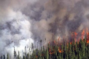 Incendies au Brésil : une guerre sans fin contre les flammes