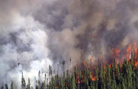 Incendies au Brésil : une guerre sans fin contre les flammes