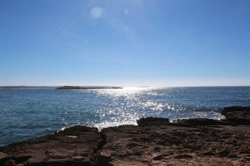 Déclaration de Malte : vers la fin de la surpêche en Méditerranée ?