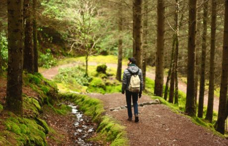 Les métiers de la forêt, au cœur des enjeux de transition écologique