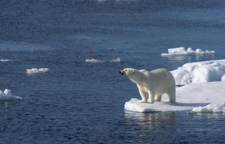 Un mois de décembre particulièrement doux pour le Groenland