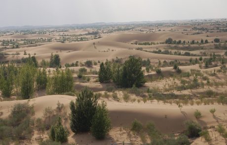 La Chine achève la construction d’une muraille verte de 3 000 km autour de son plus grand désert