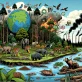 Une centaine d’entreprises presse les gouvernements à agir pour mettre fin à la perte de la nature