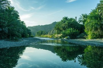 Les sacs en plastique à usage unique bannis du sultanat d’Oman à partir de 2021