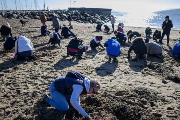 Pollution : 20 Ans de combat contre les déchets dans les Calanques de Marseille