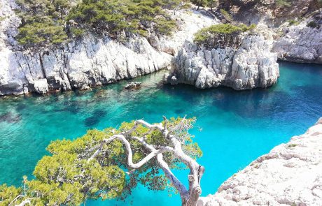 L’usine Altéo continue ses rejets polluants en Méditerranée