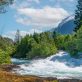 Les rivières, artères vitales de la nature