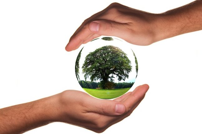 Formations environnementales et insertion professionnelle : quelles perspectives pour demain ?