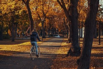 Les éco-gestes pour une mobilité responsable