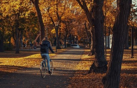 Les éco-gestes pour une mobilité responsable